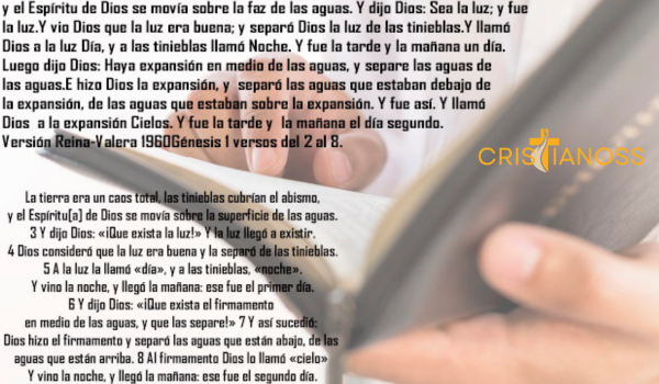 Texto de la creacion